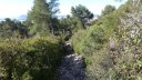 3_singles_faron_fev_2018_0103.JPG