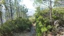 3_singles_faron_fev_2018_099.JPG