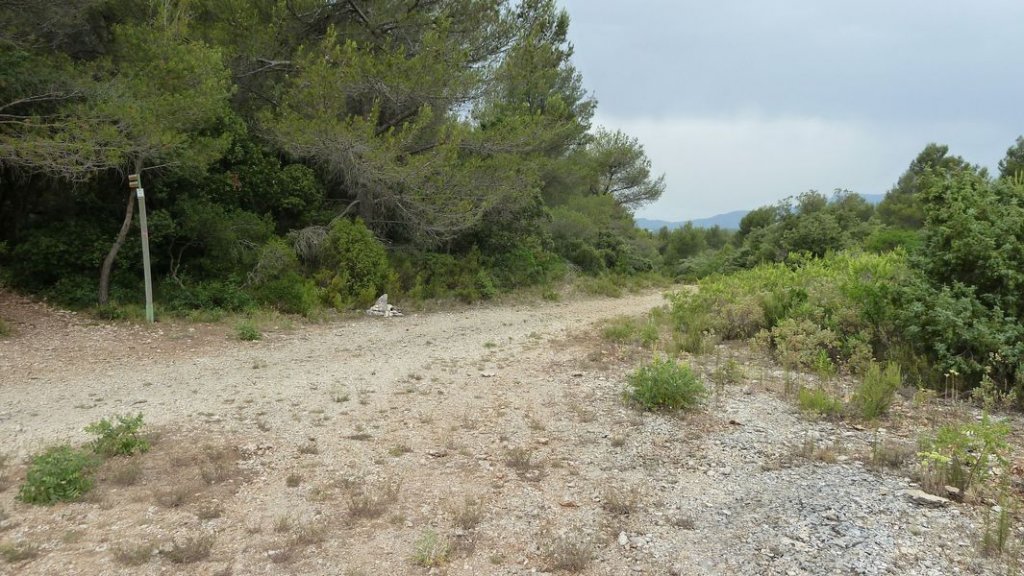 4_freres_juillet_2012_006.jpg