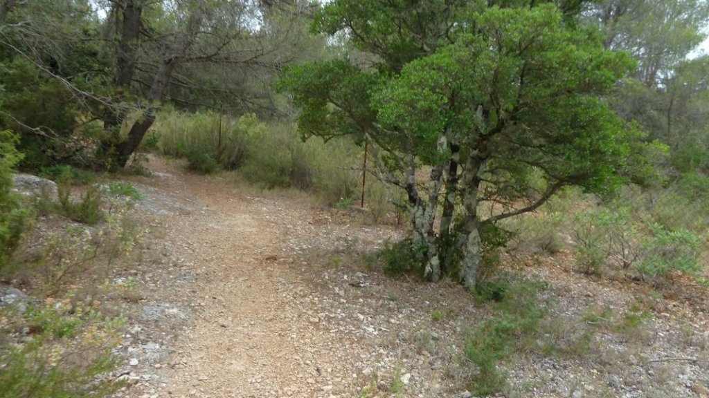 4_freres_juillet_2012_032.jpg