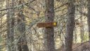 allos_colmars_nov_2012_064.jpg