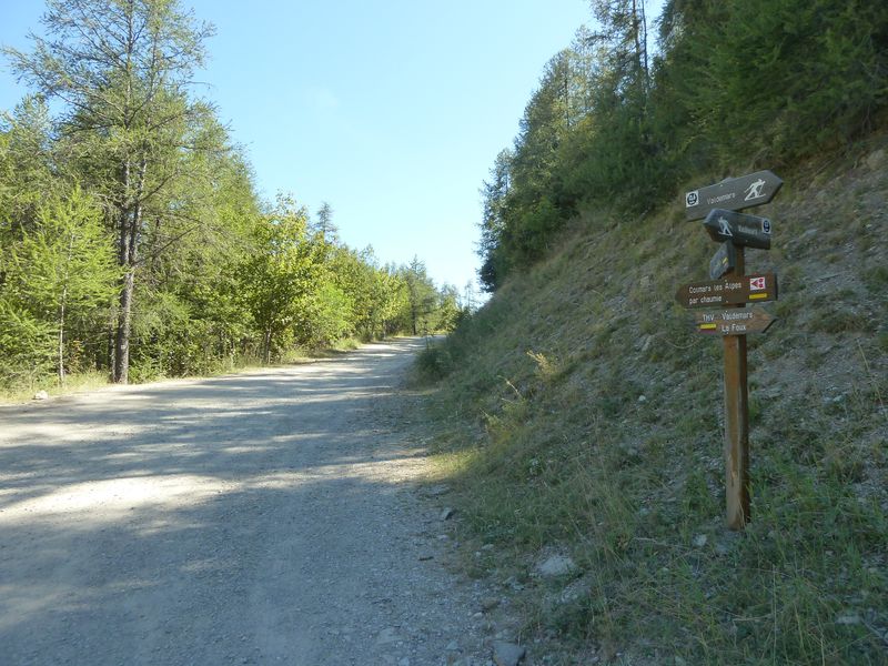 allos_colmars_2011_011.jpg
