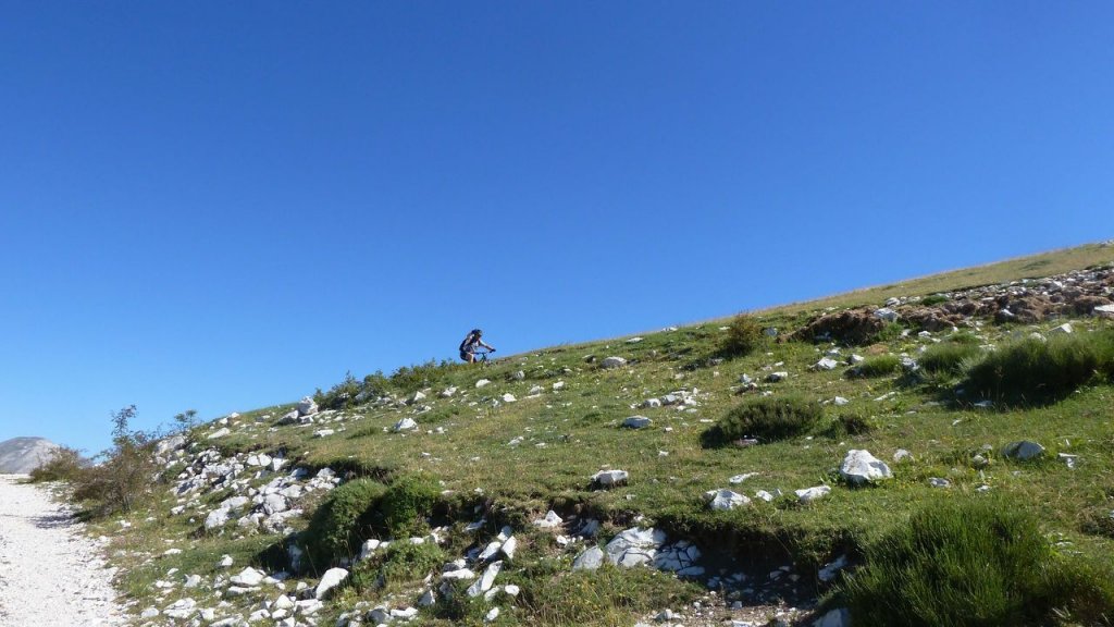 petit_cordoeil_juillet_2016_031.JPG