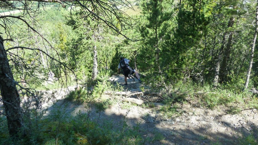 petit_cordoeil_juillet_2016_057.JPG