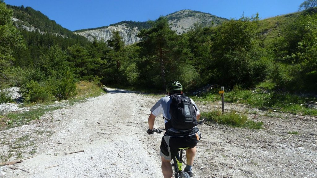 petit_cordoeil_juillet_2016_061.JPG