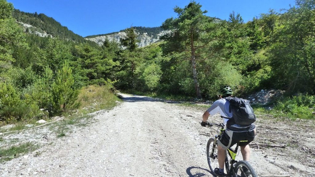 petit_cordoeil_juillet_2016_063.JPG