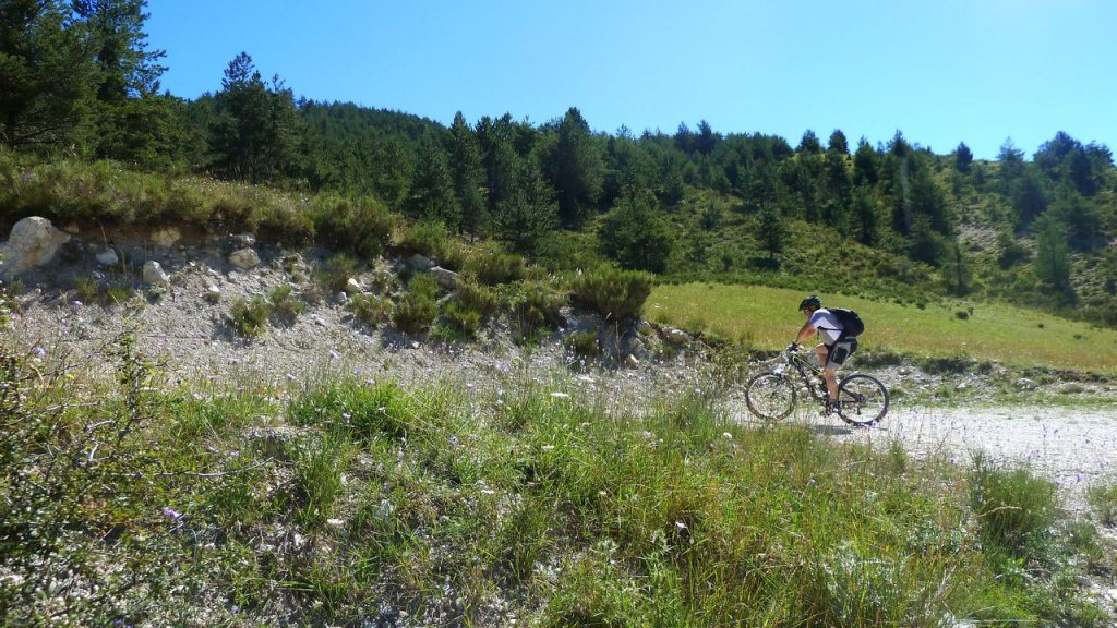 petit_cordoeil_juillet_2016_067.JPG