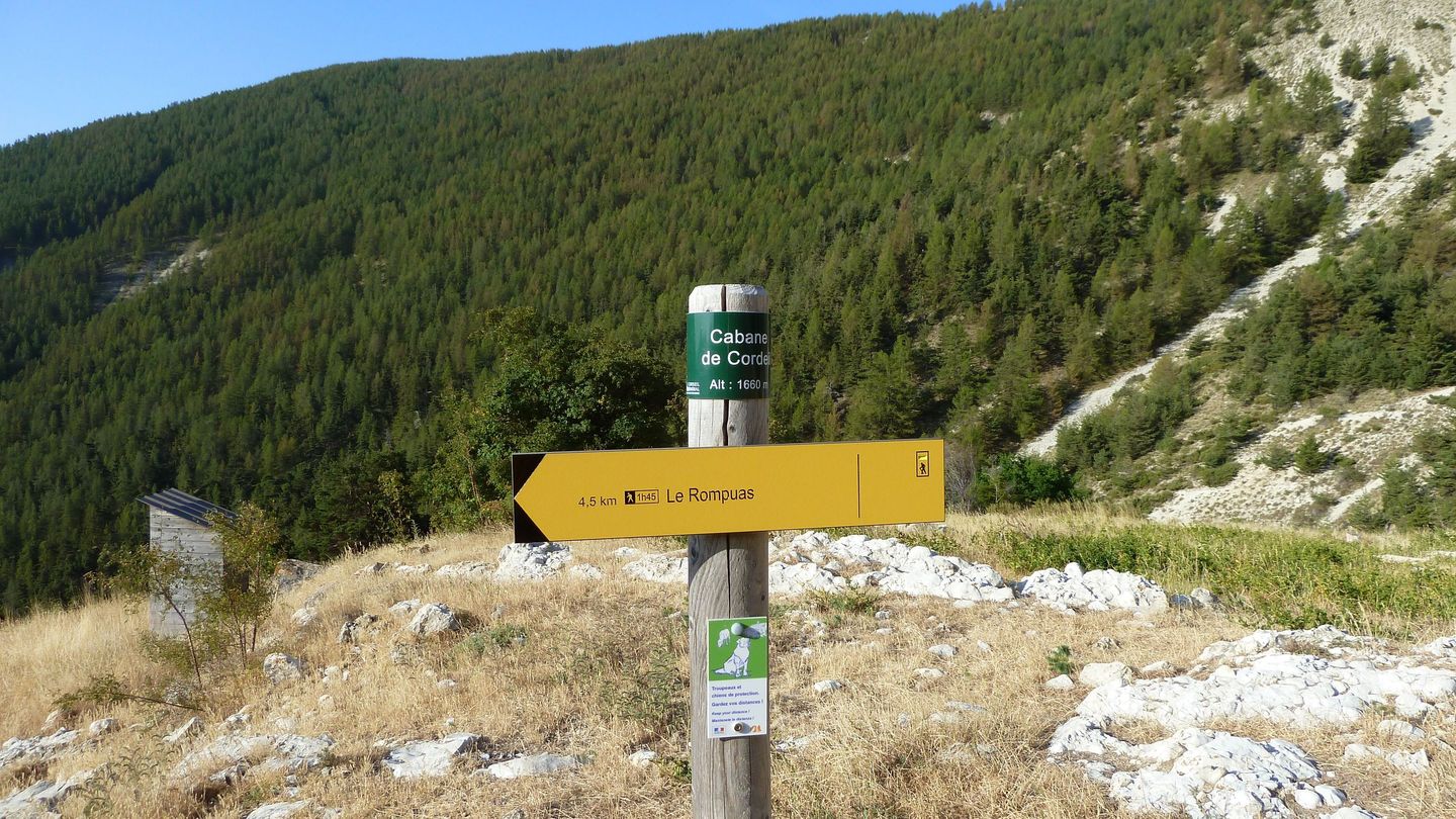 cordoeil_2017_064.JPG
