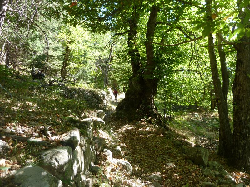 annot_argenton_2011_042.jpg
