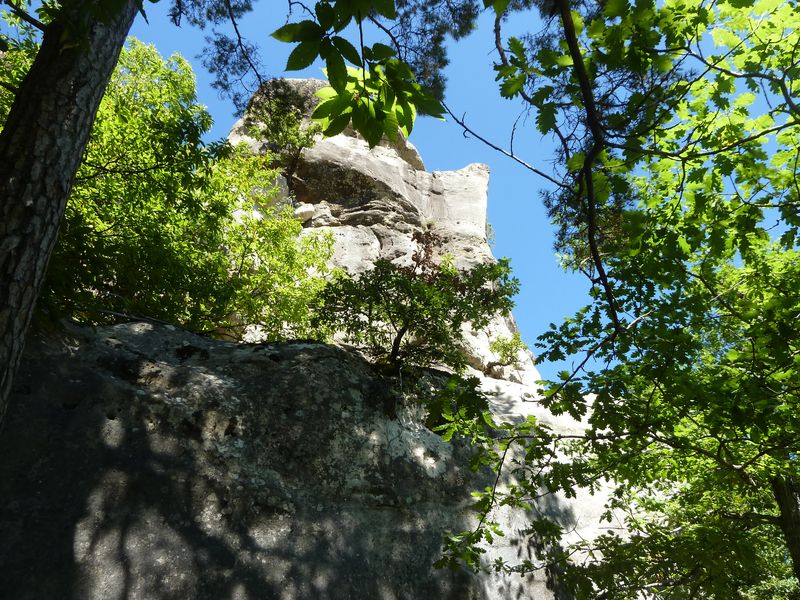 annot_argenton_2011_076.jpg