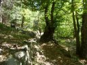 annot_argenton_2011_042.jpg