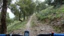 P1080900.JPG