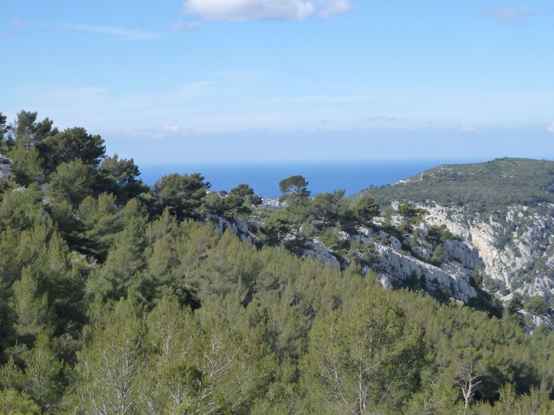 baou_avril_2012_024.jpg