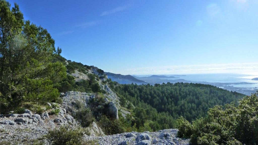 P1100836.JPG