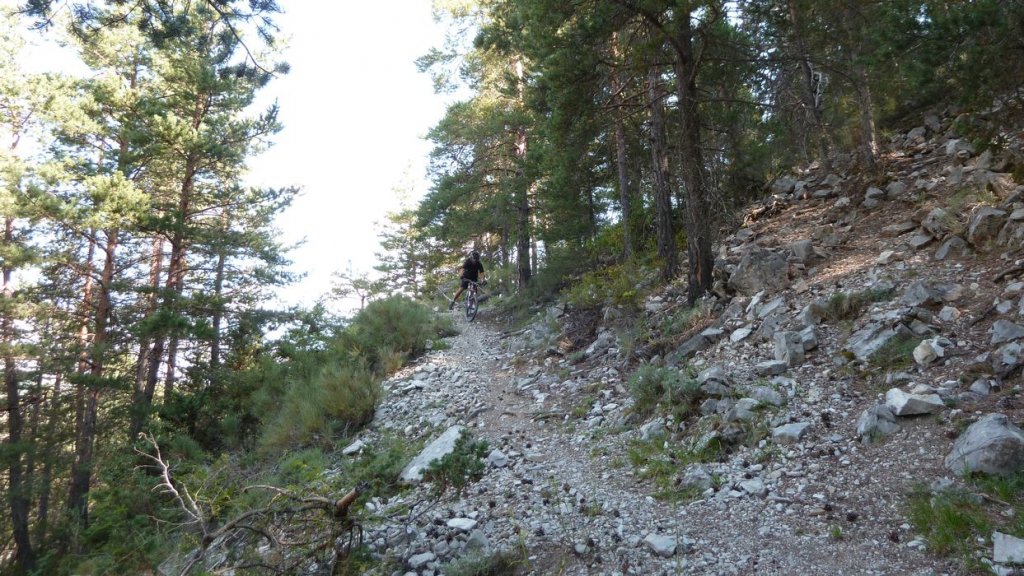 P1070766.JPG