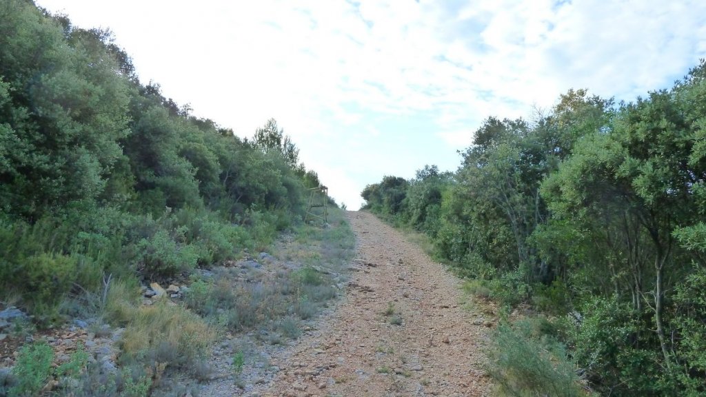 P1130732.JPG