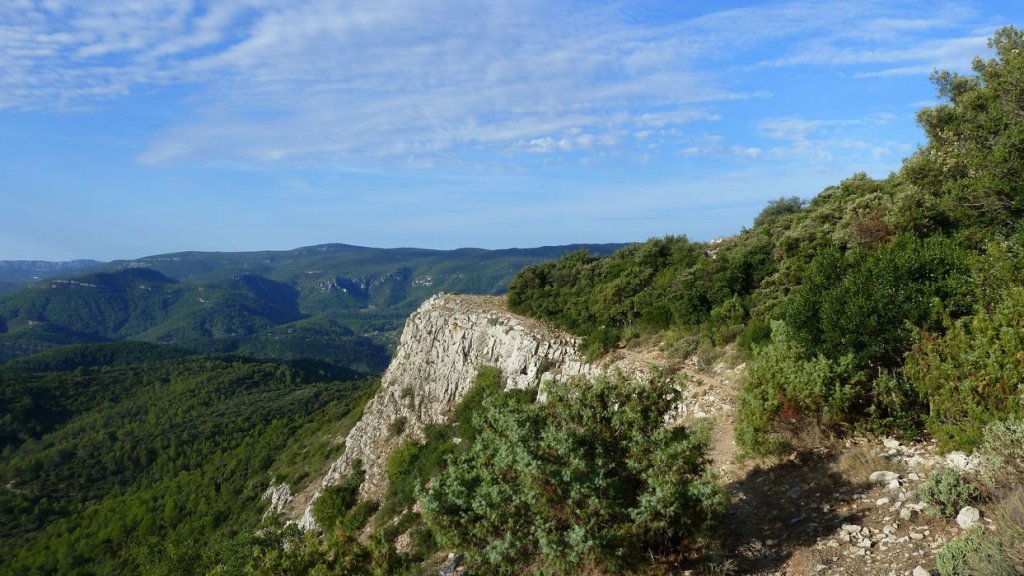 P1130744.JPG