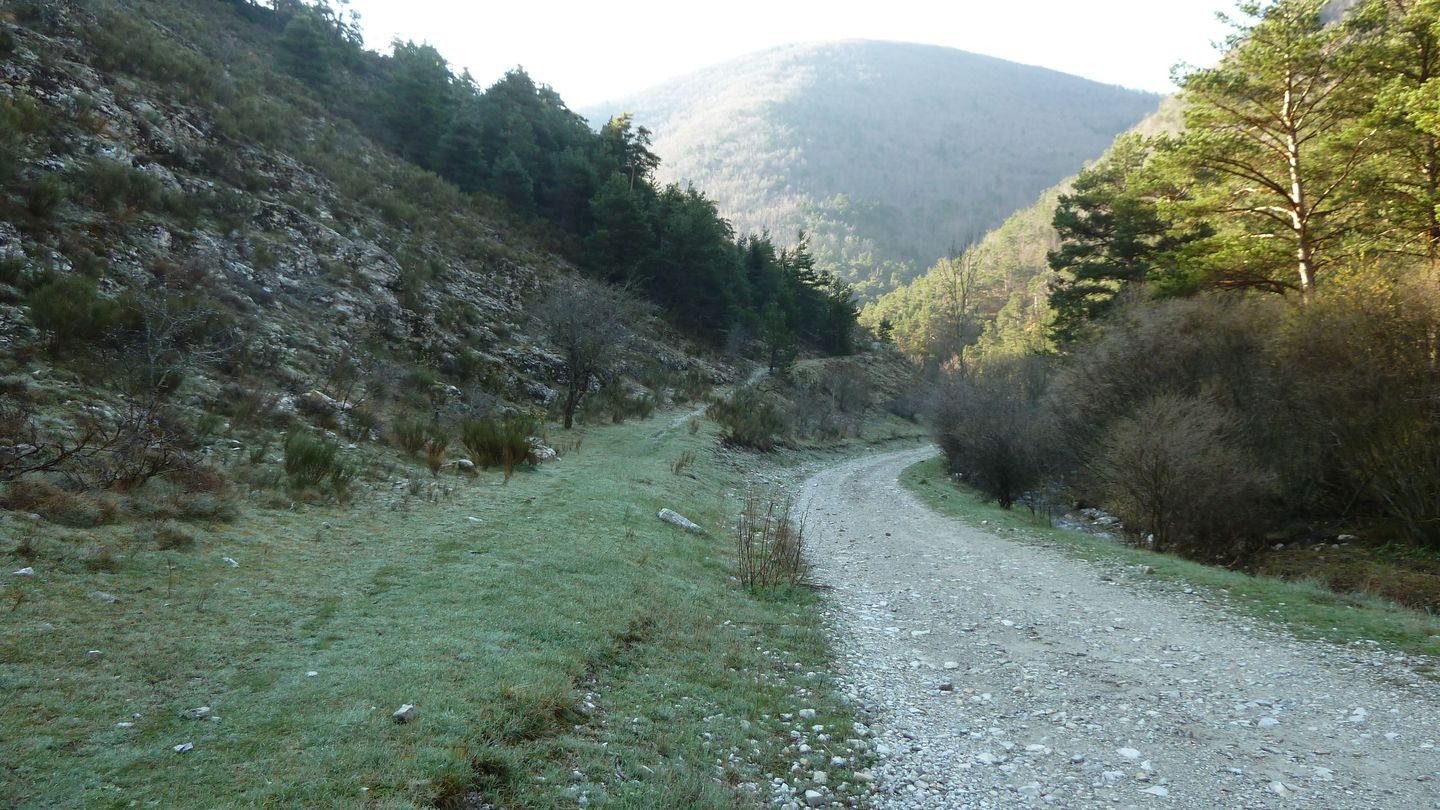 P1000432.JPG