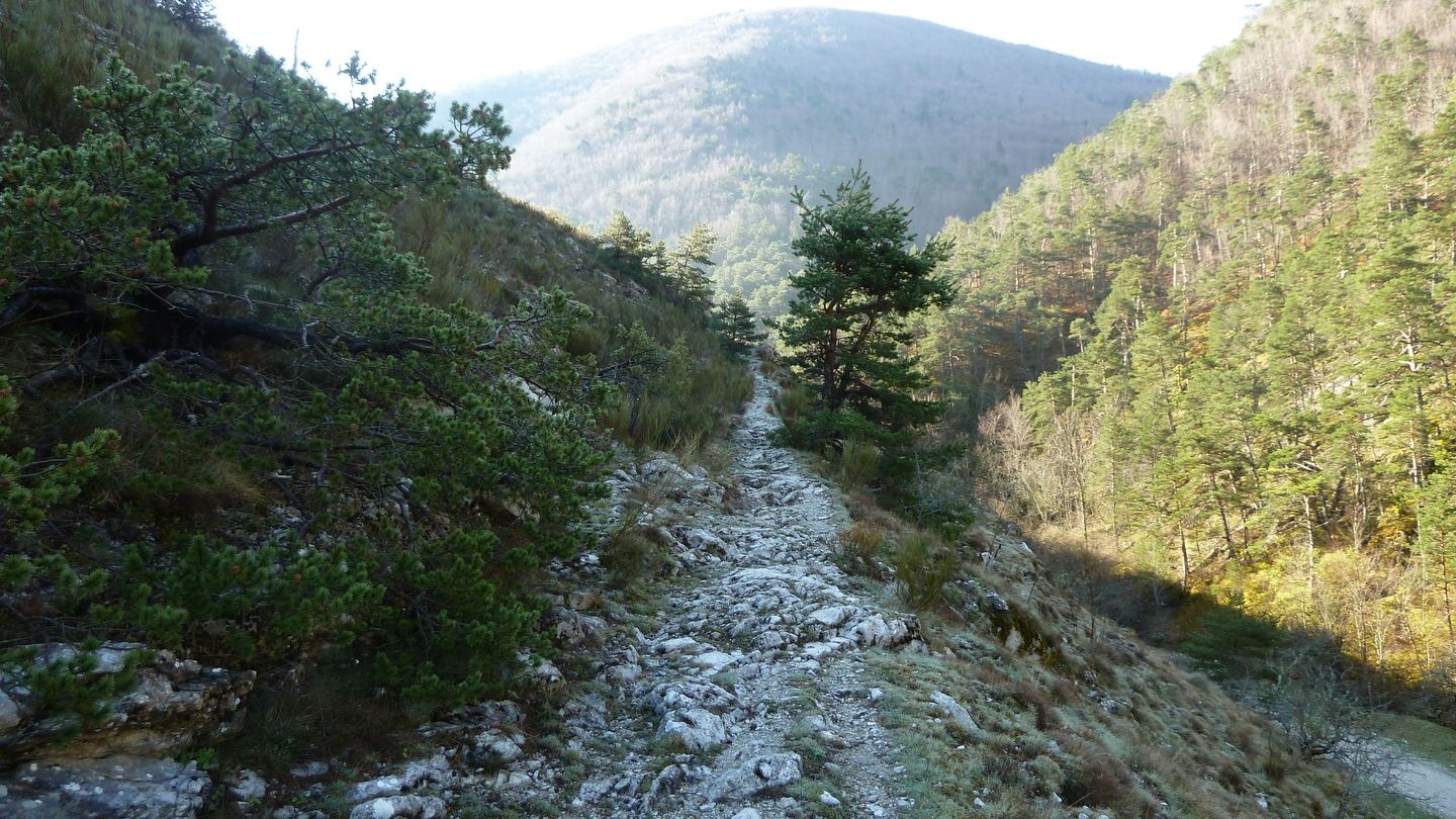 P1000434.JPG