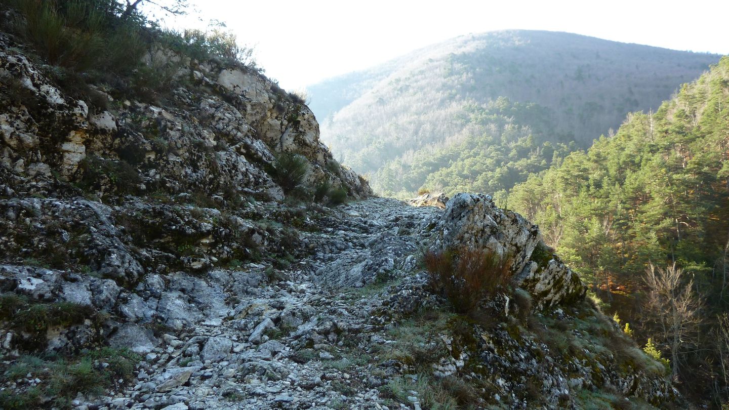 P1000436.JPG