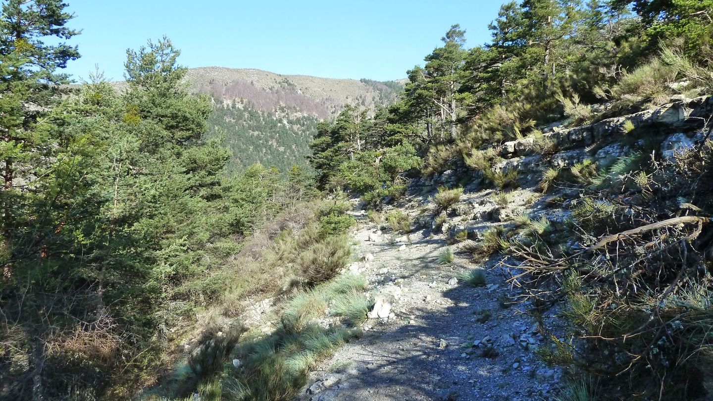 P1000451.JPG