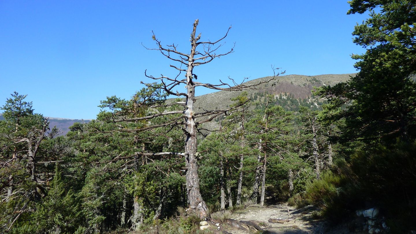 P1000453.JPG