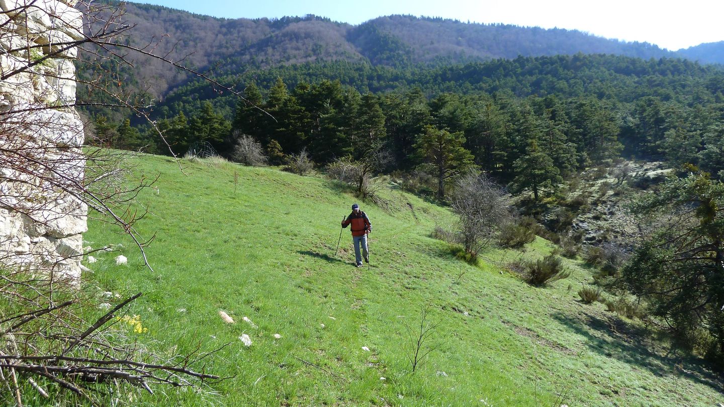 P1000456.JPG