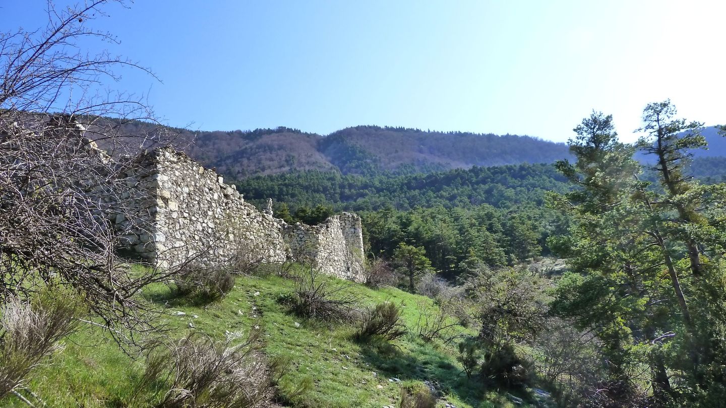 P1000460.JPG