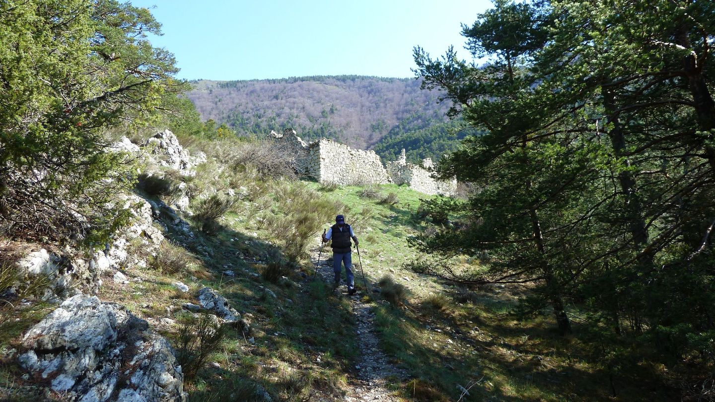 P1000462.JPG