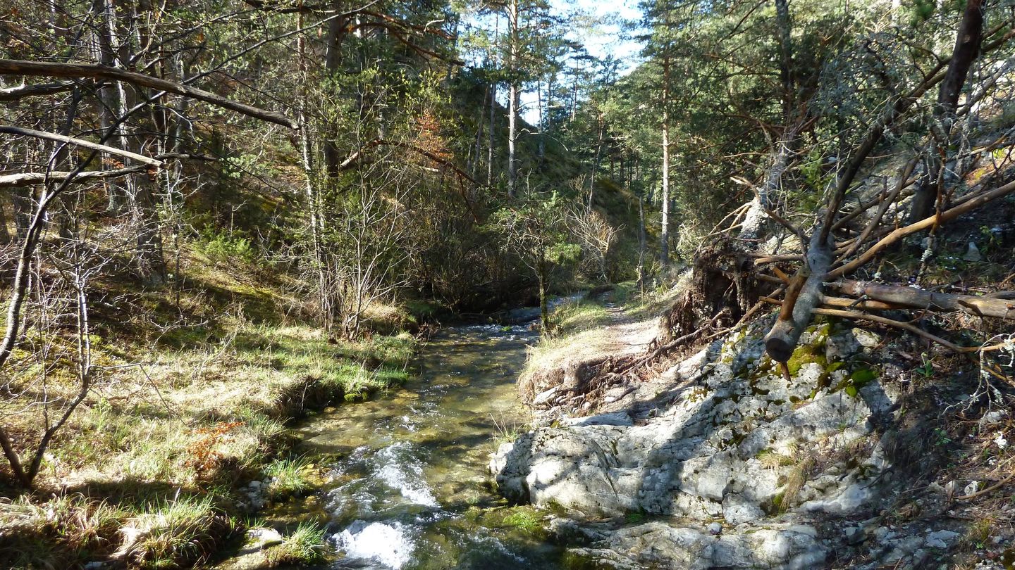 P1000463.JPG