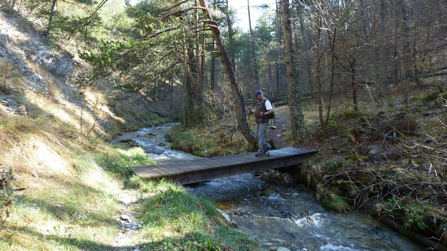 P1000469.JPG