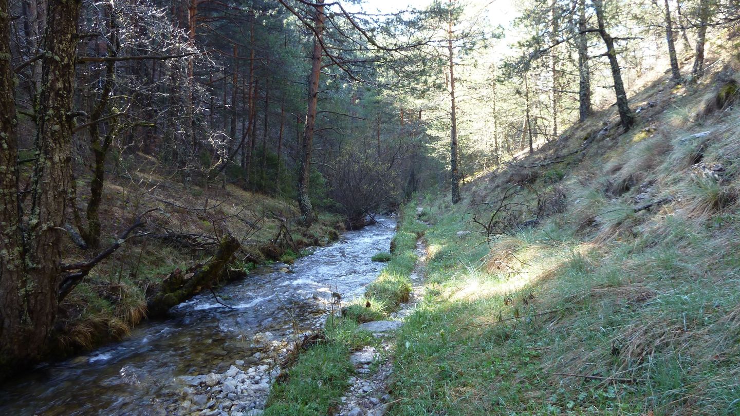 P1000470.JPG