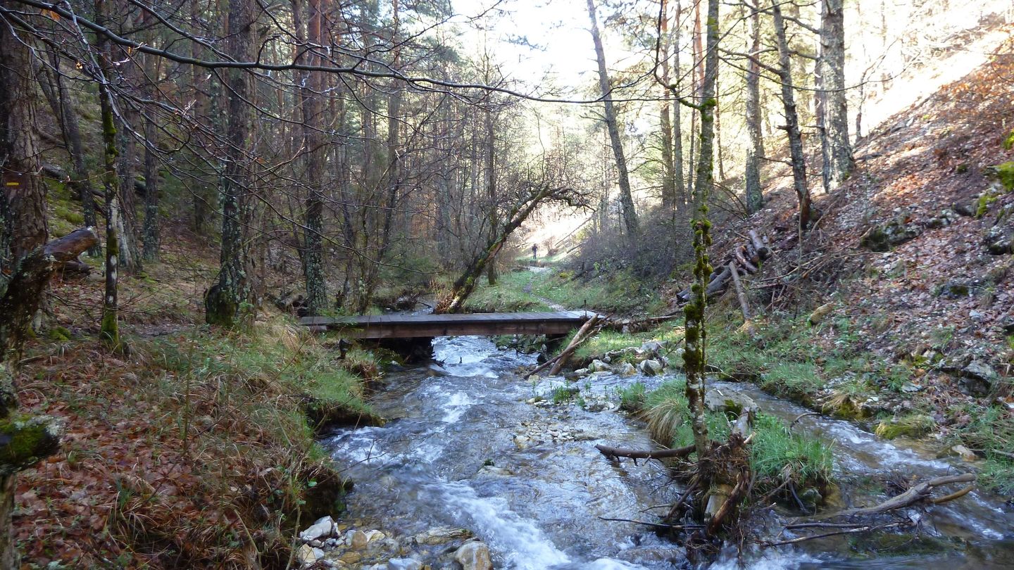 P1000474.JPG