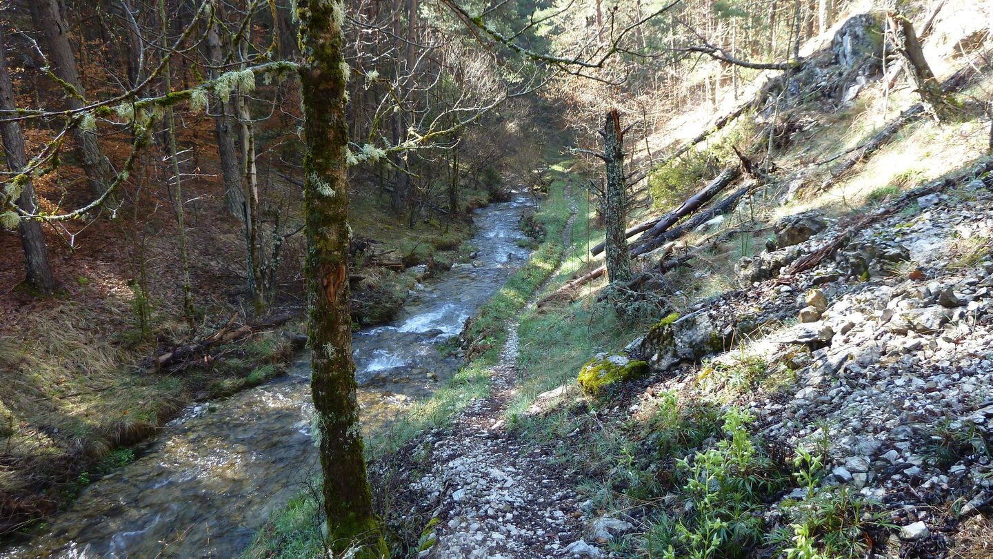 P1000476.JPG