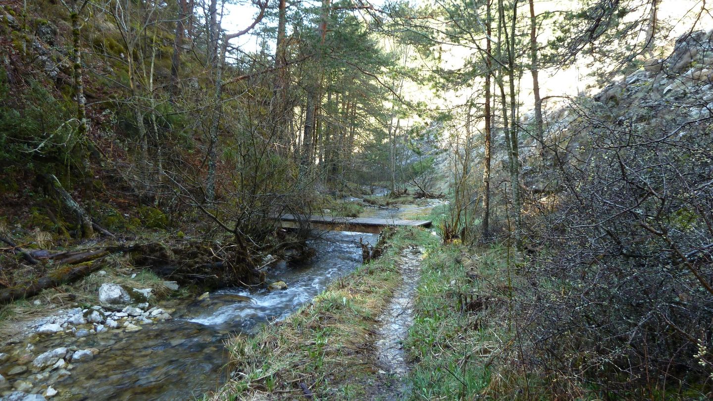 P1000477.JPG