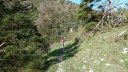 P1000440.JPG