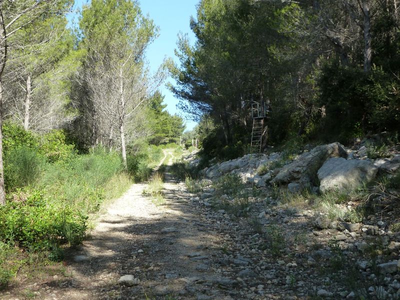 bau-rouge_avril_2012_016.jpg