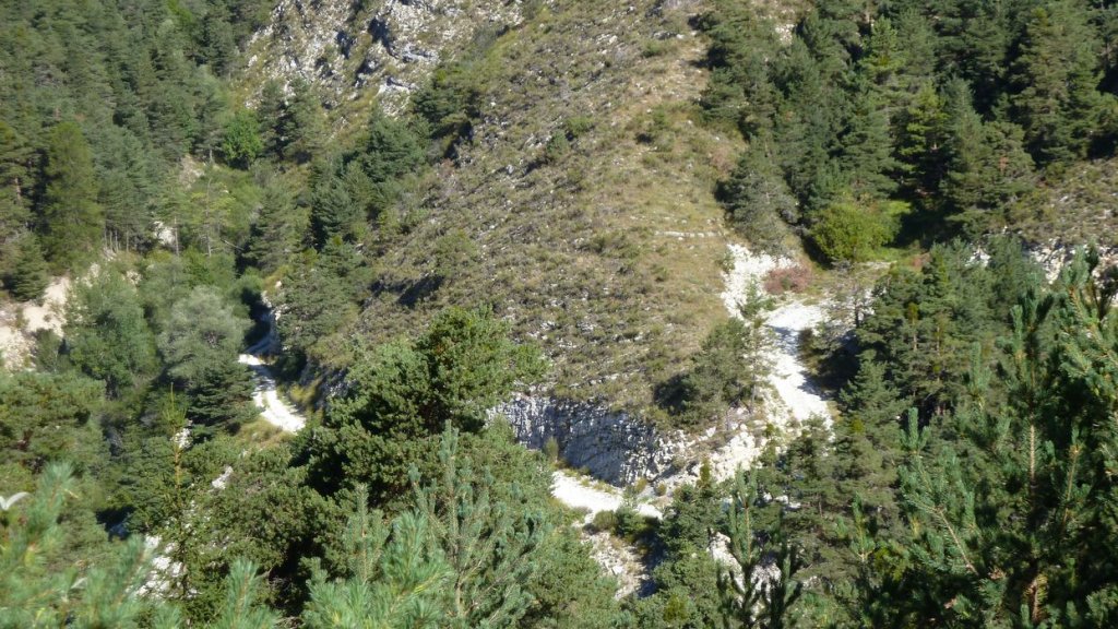 bois_de_favier_2013_020.jpg