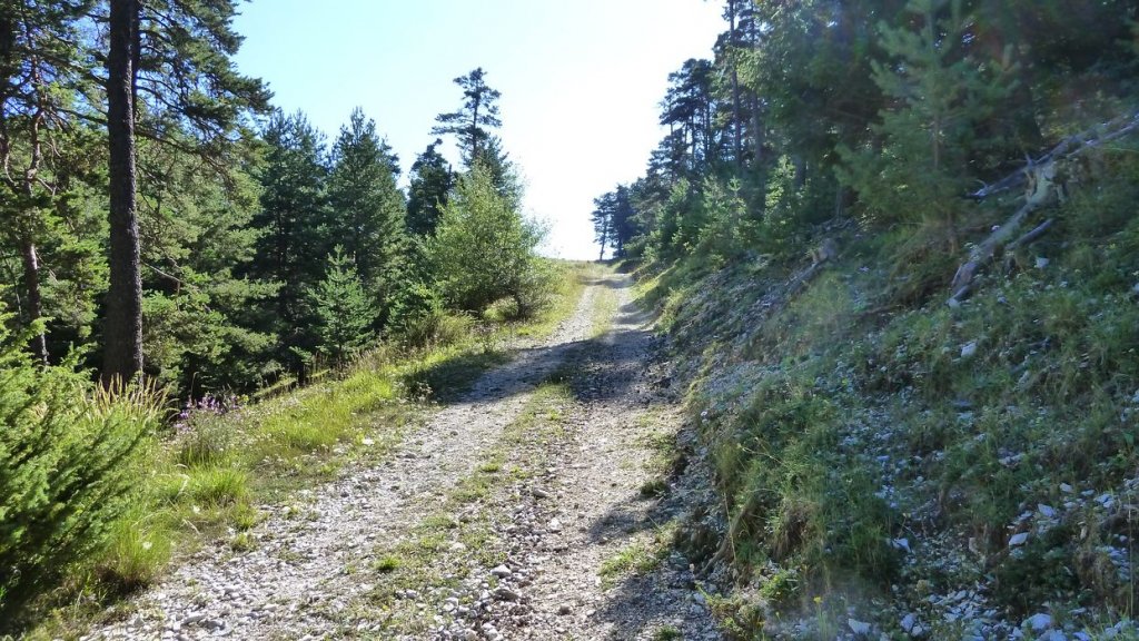 bois_de_favier_2013_022.jpg