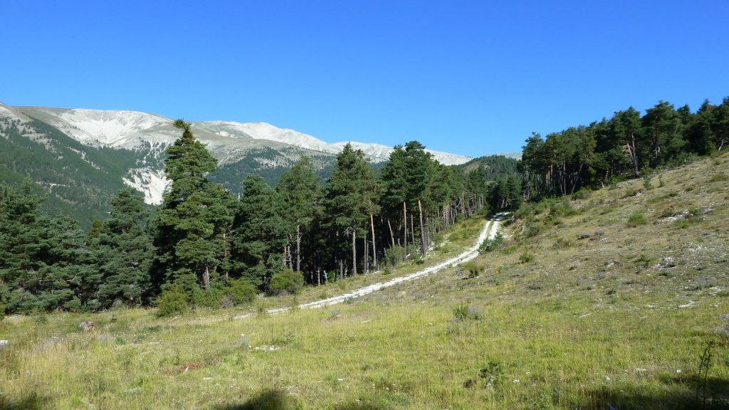 bois_de_favier_2013_024.jpg