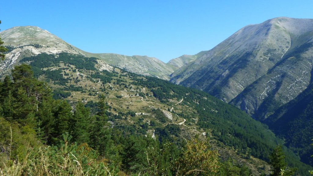 bois_de_favier_2013_034.jpg