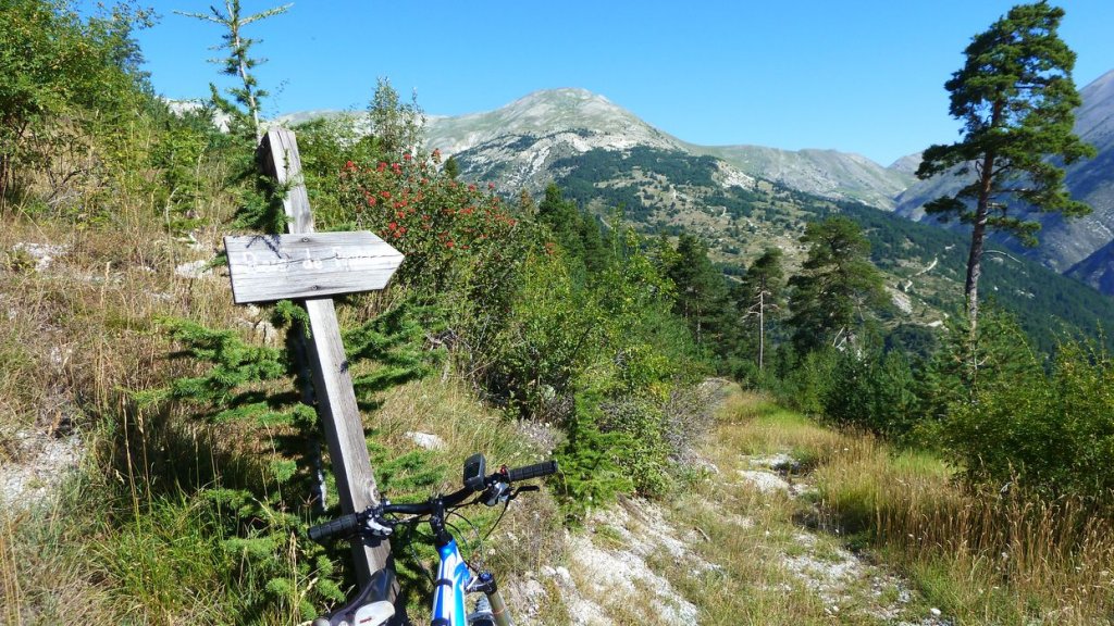 bois_de_favier_2013_036.jpg