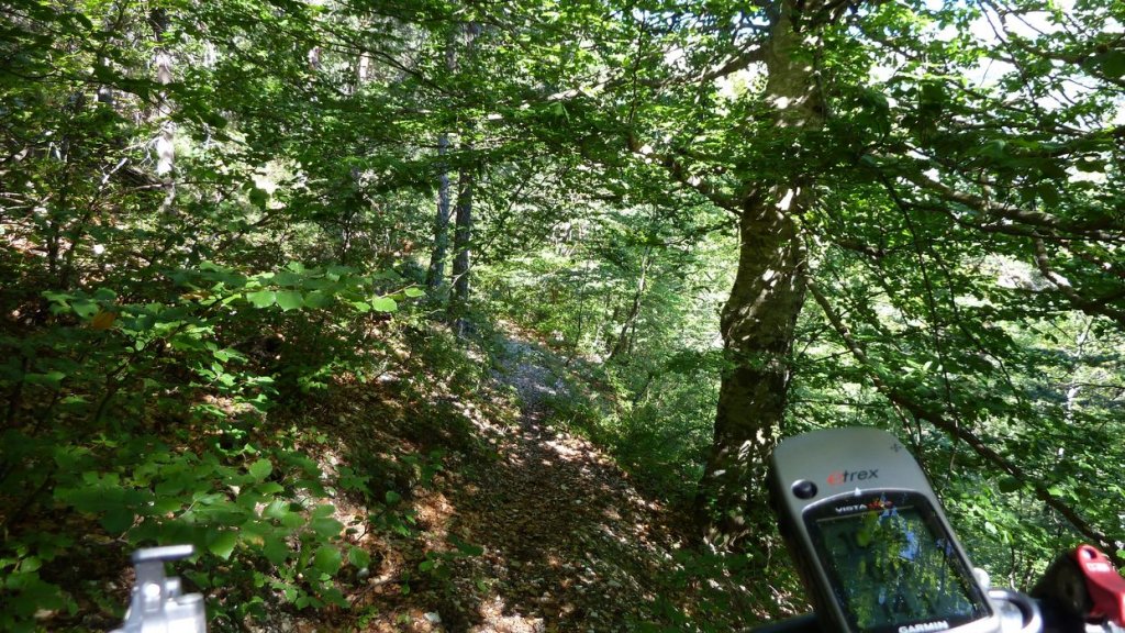 bois_de_favier_2013_044.jpg