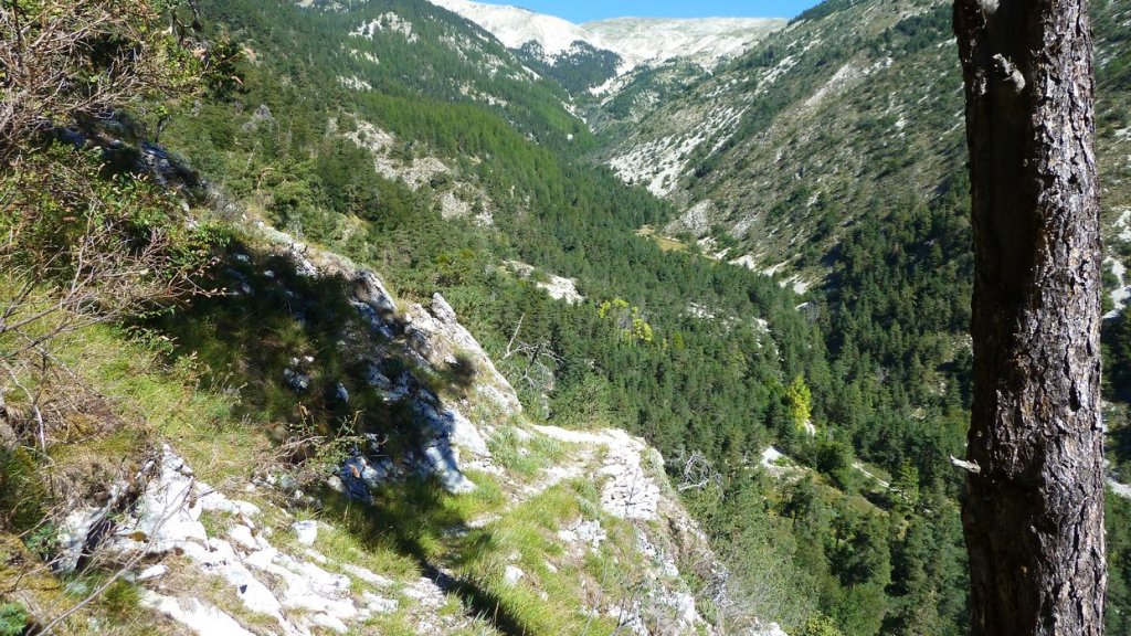 bois_de_favier_2013_052.jpg