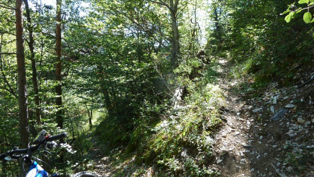 bois_de_favier_2013_058.jpg