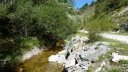 bois_de_favier_2013_072.jpg