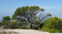 boucle_chateauvallon_2012_048.jpg