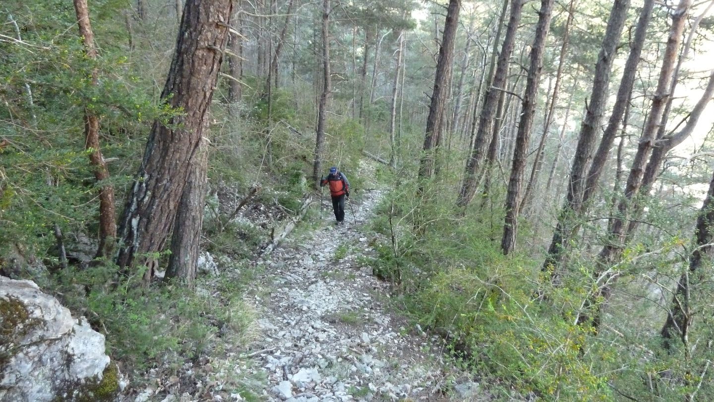 branchaie_avril_2017_031.JPG