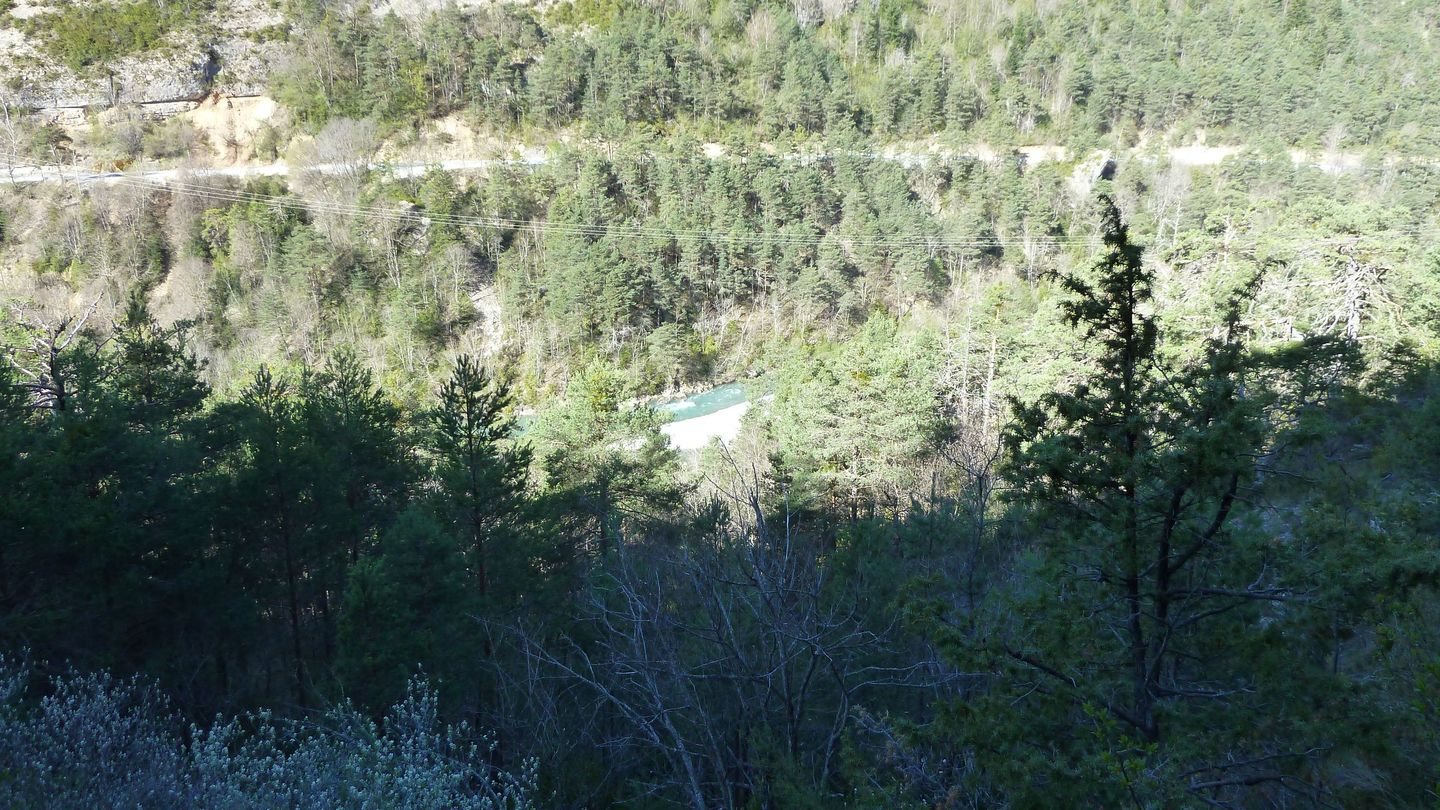 branchaie_avril_2017_046.JPG