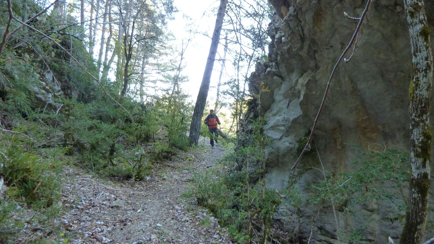 branchaie_avril_2017_049.JPG